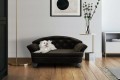 Sofa dla psa REX STANDARD ( FRESH 05 ) - aranżacja