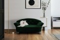 Sofa dla psa REX STANDARD ( FRESH 11 ) - aranżacja