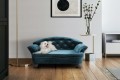 Sofa dla psa REX STANDARD ( FRESH 32 ) - aranżacja