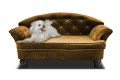 Sofa dla psa REX STANDARD ( FRESH 37 ) - bryła, front