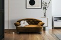 Sofa dla psa REX STANDARD ( FRESH 37 ) - aranżacja