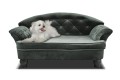 Sofa dla psa REX STANDARD ( FRESH 32 ) - REDAM MEBLE